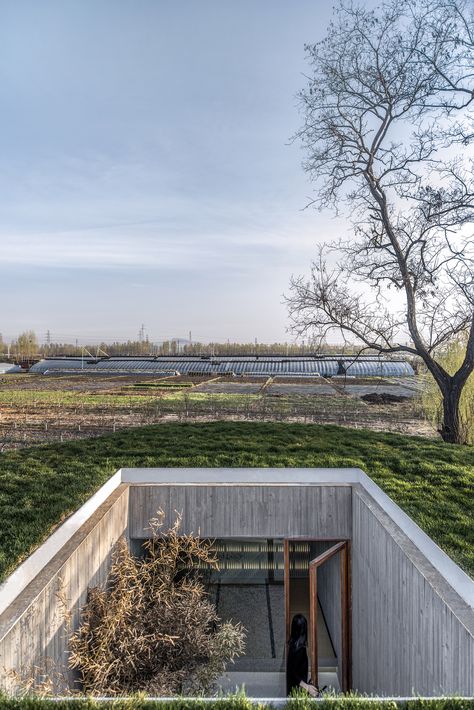 Arch Studio carves concrete Buddhist shrine into a grassy mound in Hebei Underground Entrance Architecture, Buddhist Meditation Room, Landscape Entrance, Underground Architecture, Chuncheon, Buddhist Shrine, Earth Sheltered, Concrete Architecture, Concrete House