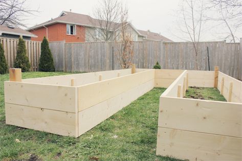 U Shaped Garden Bed, U Shaped Garden, Inexpensive Raised Garden Beds, Raised Garden Designs, Garden Bed Layout, Vegetable Garden Beds, Raised Garden Bed Plans, Raised Bed Garden Design, Raised Vegetable Gardens