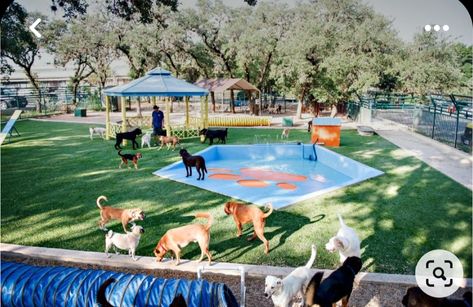 Dog Park Design Ideas, Doggie Day Care Ideas, Dog Resort Ideas, Doggy Day Care Ideas, Doggie Daycare Ideas Design, Dog Day Care Ideas, Dog Sanctuary Ideas, Doggie Daycare Ideas, Doggy Daycare Ideas