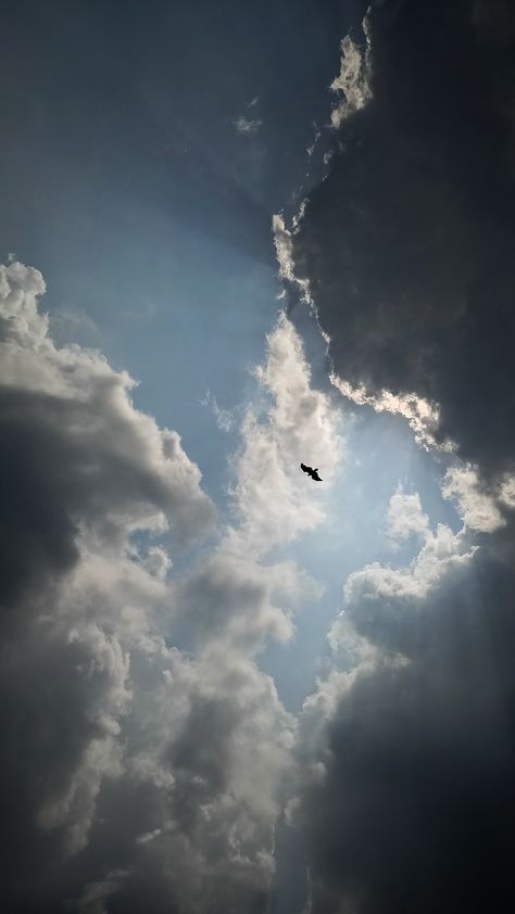 Flying Eagle Wallpaper, Flying Eagle Photography, Aesthetic Eagle, Eagle Aesthetic, Cool Iphone Wallpaper, Eagle Background, Cloud Photography, Vector Portrait Illustration, Eagle Flying