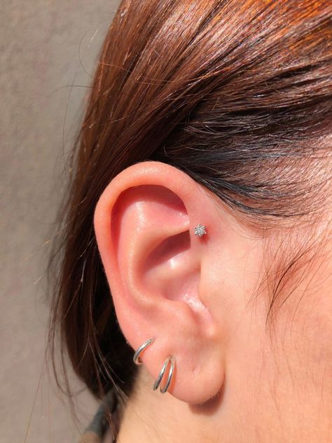 Tash Piercing, Forward Helix Jewelry, Constellation Piercings, Different Ear Piercings, Ear Peircings, Forward Helix Earrings, Forward Helix Piercing, Pretty Ear Piercings, Maria Tash