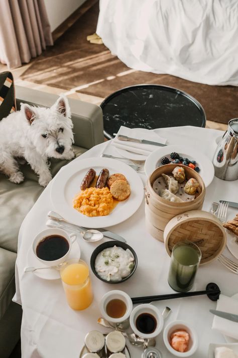 Dog Friendly, Pet Friendly Hotel, Nomad Hotel, Hotel Ads, Bowery Hotel, Cafe Royal, Pet Paradise, Treehouse Hotel, Pet Resort