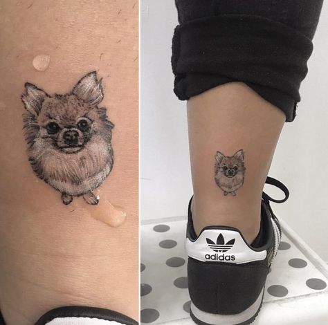 15 Best Tattoo Ideas For Pomeranian Lovers – Page 3 – The Paws Pomeranian Tattoo, Fine Line Dog Tattoo, Pet Memorial Tattoo, Pawprint Tattoo, Dog Paw Tattoo, White Pomeranian, Pomeranian Lovers, Paw Tattoo, Best Tattoo Ideas