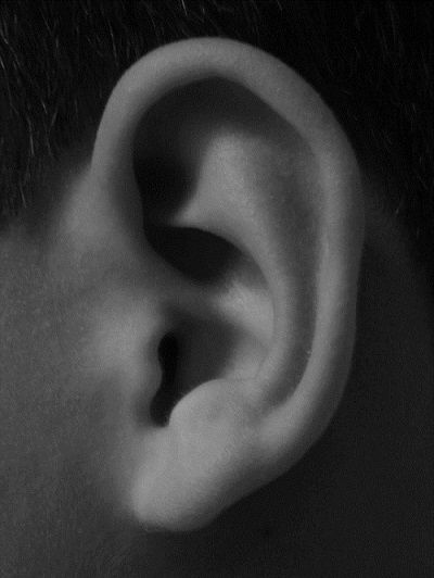 Ringing in the ears happens to most of us every once in awhile. However, for more than 16 million people living with tinnitus, that ringing happens Bod References, Draw Ear, Ear Shapes, Black And White Photography Portraits, Anatomical Art, How To Draw Ears, Human Ear, 얼굴 그리기, Human Reference