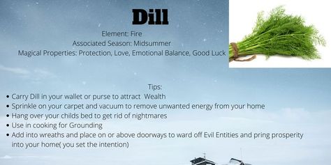 Dill Magical Properties, Herbalism 101, Attract Wealth, Hang Over, Planting Herbs, Herbs, Charms