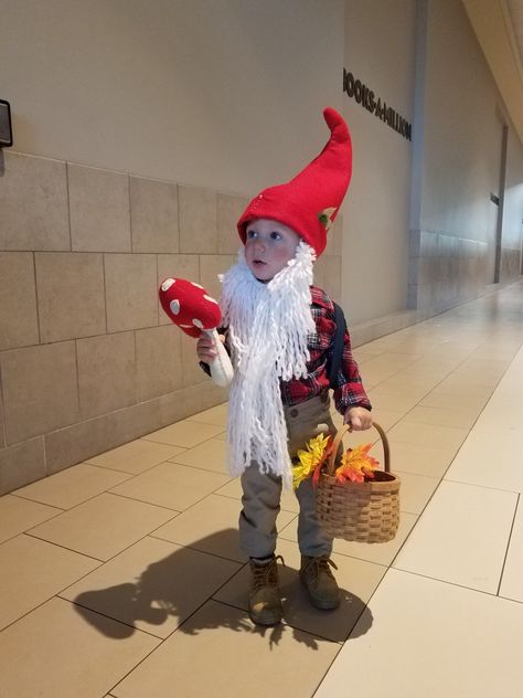 Gnome Costume Kids, Garden Gnome Costume, Baby Gnome Costume, Garden Gnomes Costume, Boys Garden, Toddler Garden, Halloween Classroom Decorations, Gnome Costume, Costume Toddler