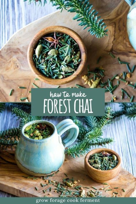 Aug 28, 2020 - This foraged tea blend uses fir needles and chai spices to create a delicious and festive drink that is also good for respiratory wellness. Fir Needles, Books And Tea, Chai Spices, Foraging Recipes, Herbal Teas Recipes, Herbal Recipes, Herbal Apothecary, Lip Scrubs, Milk Shakes