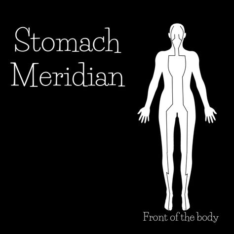 In traditional Chinese medicine the Stomach meridian, or channel, starts just below the eyes, travels across the face to the chewing muscles, up to the forhead, then down the face, neck, ribs, abdomen, across the hips, down the quads, tibia, and across the top of the foot to the second toe. Join us for a CranioSacral style meditation with stretching to open our hips and nourish our digestion. Stomach Meridian, Bloated All The Time, Acupressure Points, Traditional Chinese Medicine, Chinese Medicine, Acupressure, Digestive System, Acupuncture, Health Issues