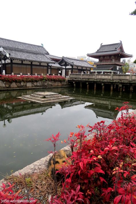 Shitennoji Temple, Wakayama, Interesting Places, Osaka Japan, Nara, Japan Travel, Beach Life, Osaka, Just Go