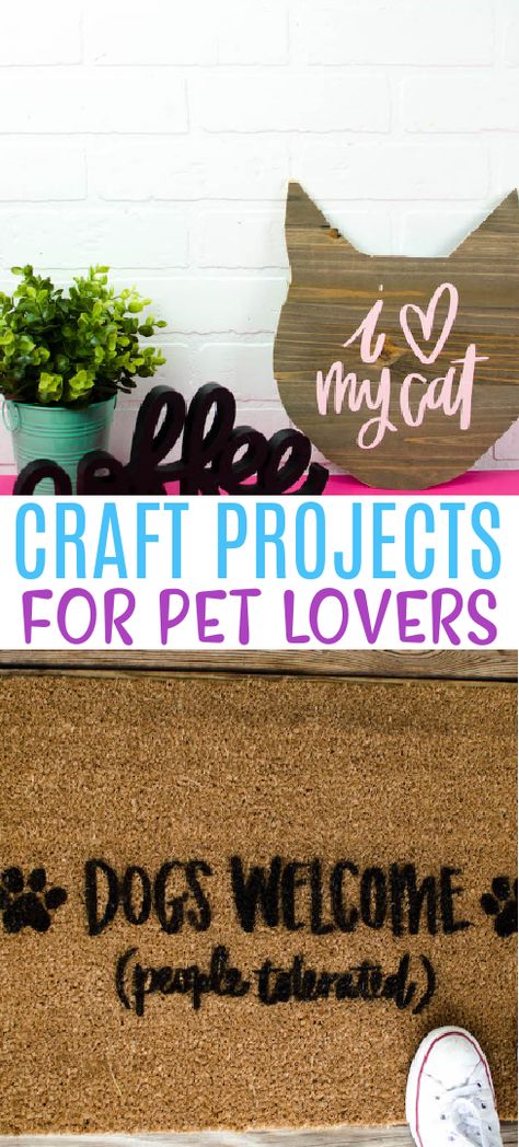 Fun Craft Projects, Dogs Diy Projects, Cat Patio, Dog Crafts, Love Your Pet, Crafts To Make And Sell, Animal Projects, Cat Crafts, Fun Craft