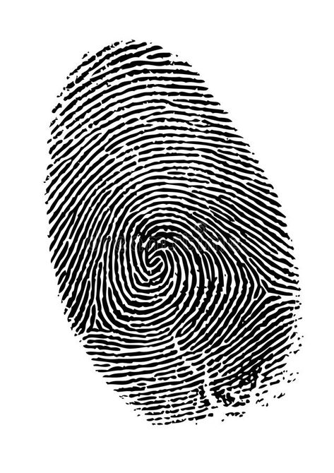 Teachers Day In India, Fingerprint Tattoos, Art Ideas Easy, Finger Print, Forensic, Royalty Free Pictures, Labyrinth, Fingerprint, Royalty Free Images