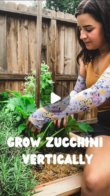 Sara Tracy, Gardener | On A Garden Kick on Instagram: "A real space saver in the garden! 🙌   Wearing my sleeves from @farmersdefense helped keep my arms protected while setting up this zucchini plant to grow vertically. 🤗   Zucchini plants can make your arms itchy and their spikes can scratch so before doing this I’d definitely recommend grabbing a pair of these sleeves. 🫶🏼  There are lots of benefits to growing zucchini vertically—it saves space, creates better airflow, makes pest checks easier, and allows for easier harvesting. I also think it looks really cool. 😆  You don’t need a lot to do this—I’m using a wooden tomato stake and stretchy garden ties to secure the plant to the stake. Remove anything from the main stem below the first flower and secure the plant then you’re good to Zucchini Plants Vertical, Zucchini In Pots Growing, Growing Zucchini In Raised Beds, Vertical Zucchini Garden, Staking Zucchini Plants, Zucchini Plants Gardening, Vertical Zucchini, Spaghetti Squash Plant, Growing Zucchini Vertically