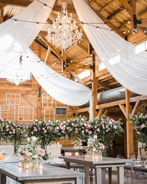 Ceiling Drapes Wedding, Pretty Outdoor Wedding, Romantic Wedding Arch, Drapes Wedding, Wedding Ceremony Locations, Addison Grove, Ceiling Drapes, Beautiful Outdoor Wedding, Outdoor Buildings