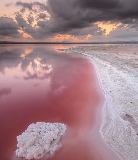 Uninhabited Island, Pink Lake, Amazing Places On Earth, Nature Instagram, Clear Blue Sky, Out Of This World, Places Around The World, Western Australia, Places To Travel