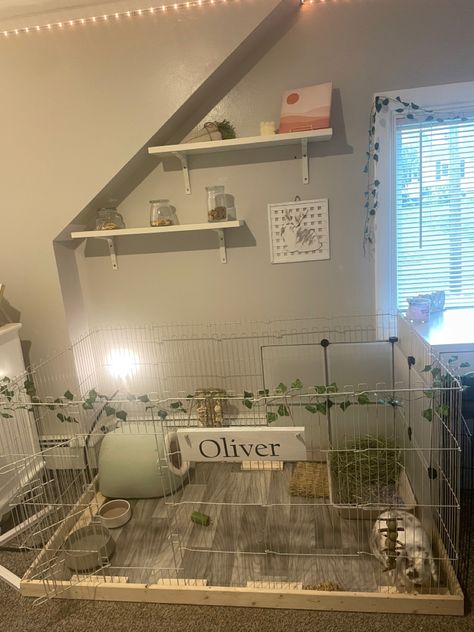 Bunny Enclosure, Indoor Bunny House, Diy Bunny Cage, Indoor Rabbit Cage, Bunny Supplies, Rabbit Pen, Rabbit Enclosure, Rabbit Habitat, Puppy Room