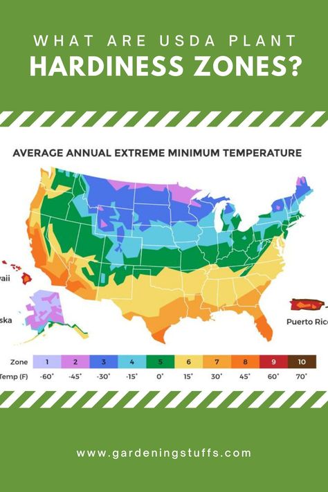 Grow Zones Map, Flower Zones Map U.s. States, Growing Zones Map United States, Gardening Zones Map U.s. States, Plant Zones Map United States, Planting Zones Map United States, Garden Zones Map, Hardiness Zones Map, Growing Zones Map