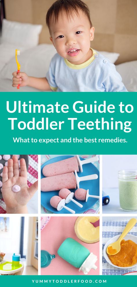 Toddler teething can disrupt normal life and can be so painful for the kids. While it’s a rite of passage for the kids, here’s what to expect, toddler teething charts, symptoms to look for, the deal with 2 year molars, and the BEST toddler teething remedies. Molar Teething Remedies, Teething Molars Relief, 2 Year Molars Teething Tips, Teething Hacks For Toddlers, Toddler Teething Remedies, 2 Year Molars, Teething Baby Remedies, Teething Tips, Toddler Teething