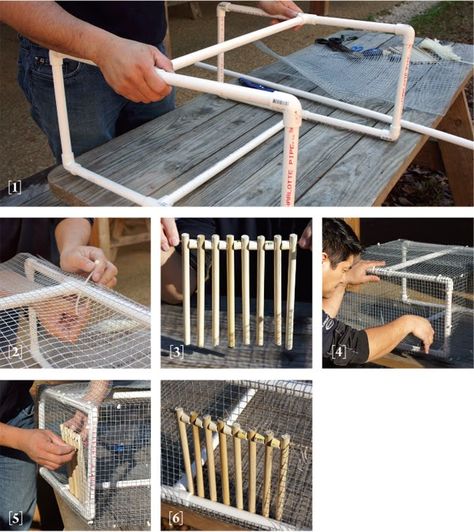 Diy Pigeon Repellent, Diy Pigeon Cage, Pigeon Aviary Outdoor, Pigeon Keeping, Pigeon Nest, Pigeons For Sale, Grouse Hunting, Pigeon Loft Design, Pigeon Cage