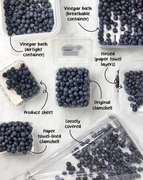 Storing Blueberries, How To Store Blueberries, Cooking Light Magazine, Cooking Stuff, How To Cook Lobster, Fruit Storage, Food Saver, Cooking Light, Sweet Tarts