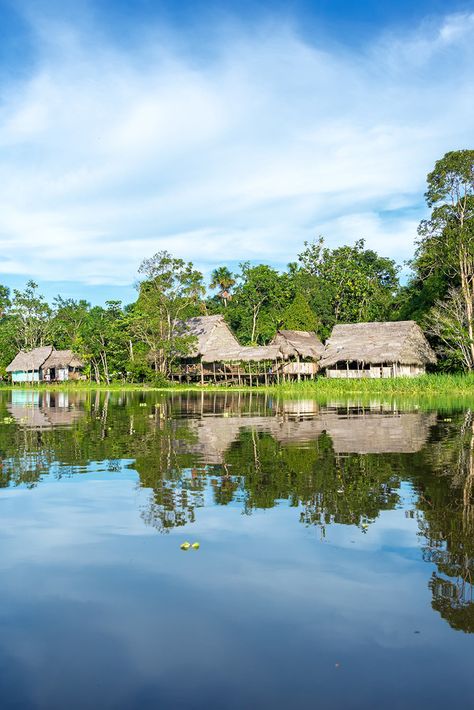 Peruvian Amazon Rainforest, Peruvian Rainforest, Peruvian Amazon, Amazon Forest, South American Countries, Amazon Rainforest, Travel Locations, South American, Peru