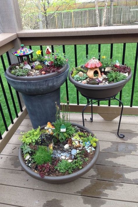 Plants Diy, Fairy Garden Crafts, Fairy Garden Designs, Faeries Gardens, Mini Fairy Garden, Magic Garden, Fairy Garden Houses, Garden Terrarium, Have Inspiration