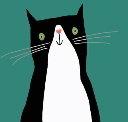 ilustración de Marie-Eve Tremblay #CatIllustration Black And White Cat Drawing Simple, Simple Cat Illustration, Cat Eyes Illustration, Cute Cat Painting Easy, Cat Painting Simple, Cat Illustration Simple, Black And White Cat Illustration, Simple Cat Painting, Easy Cat Painting