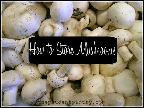 How to Store Mushrooms...I've been told to store my mushrooms in a brown paper bag in the fridge and they don't get slimy. Storing Mushrooms In Fridge, Store Mushrooms In Fridge, How To Store Mushrooms In Fridge, How To Store Mushrooms, Mushroom Storage, Food Spoilage, Kitchen Help, Vegetable Garden Diy, Grow Food