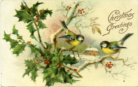 Birds Images, Christmas Birds, Yellow Birds, Pretty Artwork, Swedish Christmas, Graphics Fairy, Christmas Bird, Blue Birds, Vintage Bird