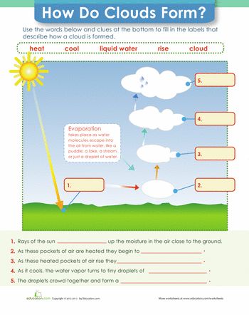 Worksheets: How Do Clouds Form? Weather Lesson Plans, Cloud Activities, Weather Lessons, Science Printables, Second Grade Science, Earth Space, Weather Unit, Science Notebooks, 6th Grade Science