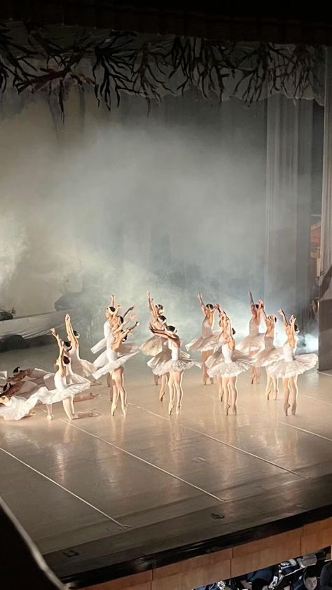 Swan Lake Ballet, Ballet Pictures, Ballet Beauty, Dance Dreams, Ballet Inspiration, Dancing Aesthetic, Ballet Girls, In Another Life, Blair Waldorf