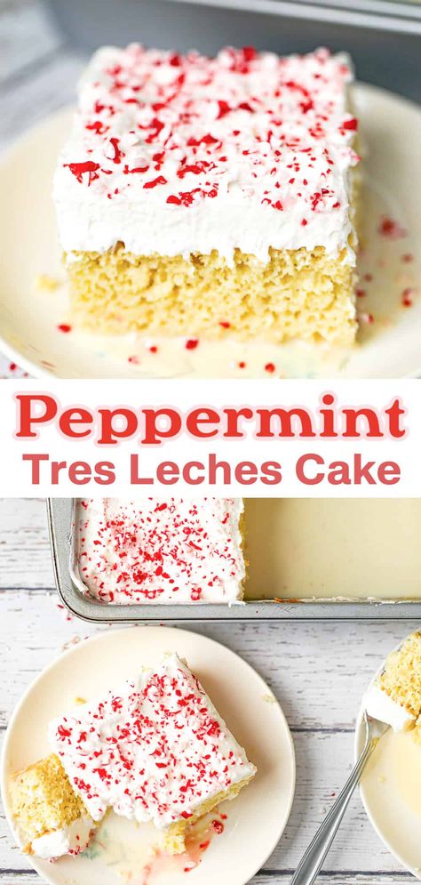 Peppermint Tres Leches, Small Batch Tres Leches Cake, Tres Leche Cakes, Different Types Of Tres Leches Cake, Tres Leches Cake Christmas, Holiday Tres Leches Cake, Thanksgiving Tres Leches Cake, Tres Leches Brownie, Hot Cocoa Tres Leches Cake