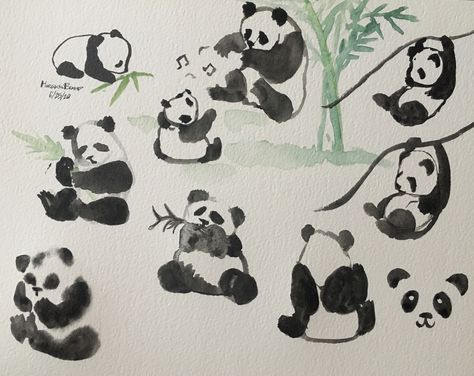 Panda Drawing Watercolor, Panda Watercolor Painting, Panda Doodle, Panda Watercolor, Watercolor Doodle, Panda Painting, Panda Drawing, Sumi E Painting, Step By Step Watercolor