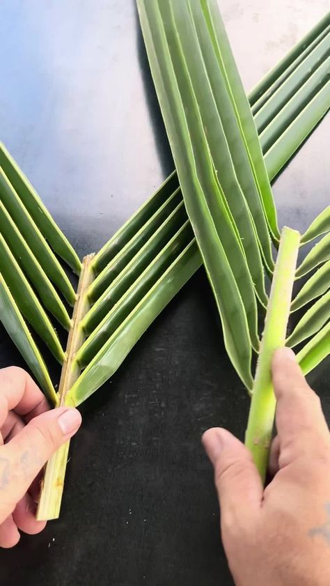 How to make hand fan using coconut leaves - Six84 Sunset TV. Plate Decoration Ideas, Palm Tree Crafts, Palm Leaf Decor, Flower Garland Diy, Flax Weaving, Coconut Leaves, Diy Coconut, Tropical Party Decorations, Diy Leaves