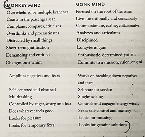 Think Like A Monk, Monkey Mind, Jay Shetty, Simple Habits, Declutter Your Mind, Self Centered, Train Your Mind, Mind Power, The Present Moment