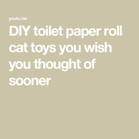 DIY toilet paper roll cat toys you wish you thought of sooner Diy Toilet Paper, Diy Toilet, Cats Love, Toilet Paper Roll, Paper Roll, Simple Diy, Cat Toys, Toilet Paper, Making Out