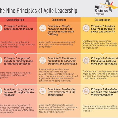 Graphic/chart of the nine principles of agile leadership Agile Leadership, Leadership Theories, Business Strategy Management, Meghan Markle Wedding, Second Wedding Anniversary, Mba Student, Action Words, Business Leadership, Fat Reduction