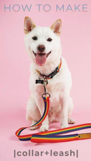 How To Make Collars For Dogs, Sewing A Dog Collar, Dog Leashes Diy, Diy Pet Collars How To Make, Dog Collar Diy Tutorials How To Make, Sew Dog Collar Diy Tutorial, Homemade Dog Leashes, How To Make A Dog Collar Diy, Dog Leash Sewing Pattern