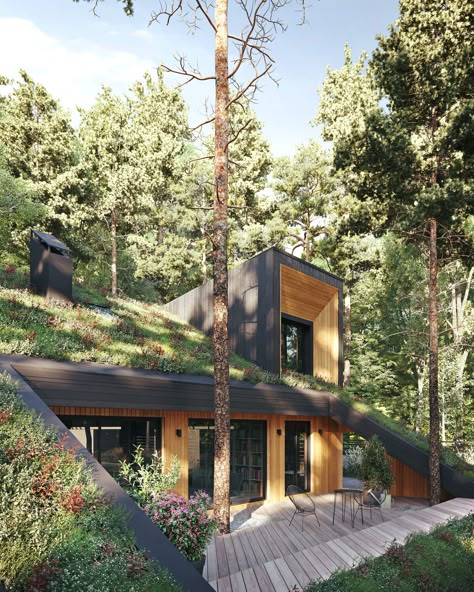 Partial Underground House, House Built Into Hill, Hillside Architecture, Green Roof Design, Manifest Board, Solar Punk, Earth Sheltered Homes, Casa Hobbit, Eco Homes