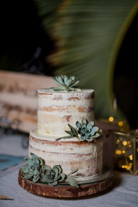 Rustic 1 Tier Wedding Cake, Desert Themed Wedding Cake, Exposed Wedding Cake, Plant Wedding Cake, Two Tier Wedding Cake Rustic, Small Naked Wedding Cake, Naked Cake Birthday, Cactus Wedding Cake, Cactus Cakes