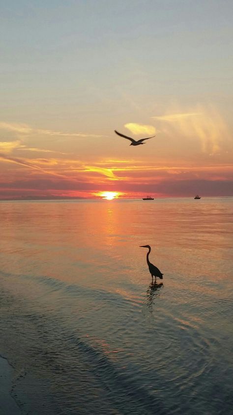 Sunset Bean Point Anna Maria Island Florida taken by Lori Ann K.K. Florida Beach Photography, Anna Maria Island Aesthetic, Naples Florida Aesthetic, Loving Aesthetic, Sarasota Florida Photography, Florida Ocean Aesthetic, Bean Point Anna Maria Island, Beach Sunset Florida, Tropical Hideaway