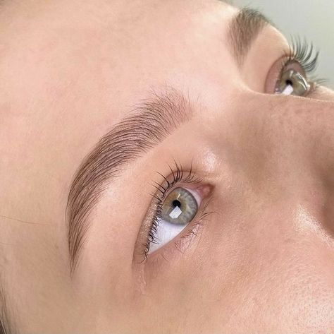 Brow Lamination Natural Look, 2023 Brows, Eyebrow Inspo Natural, Natural Brow Lamination, Brow Inspiration, Brow Wax And Tint, Tinted Brows, Round Eyebrows, Brows Shaping