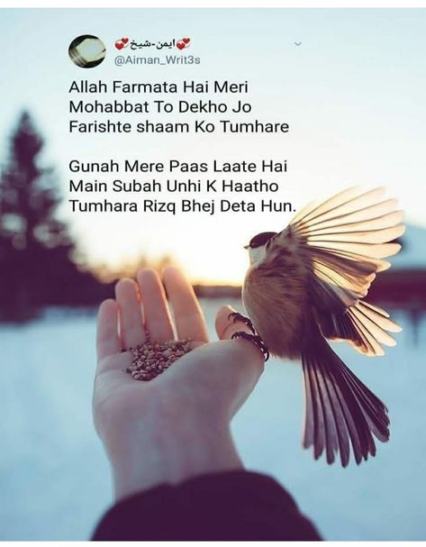 Namaz Dp, Yt Ideas, Sabar Quotes, Sister Songs, Guru Quotes, Ramadan Day, Islamic Video, Alone Photography, Beautiful Status