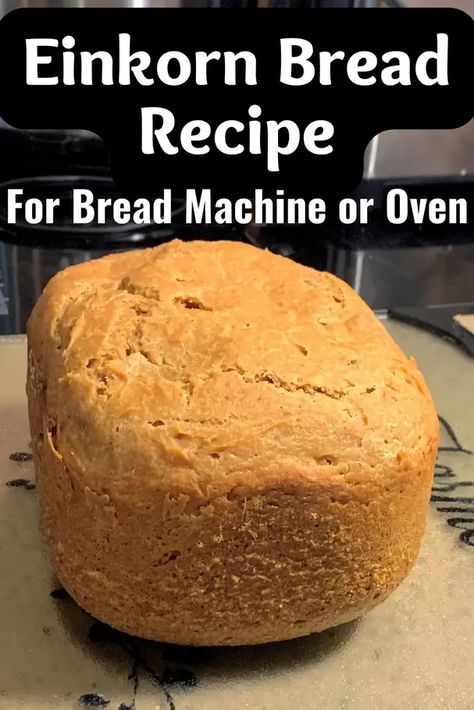 Einkorn Bread Recipe For Bread Machine Or Oven • The Farmer's Lamp Einkorn Bread Machine Recipe, Bread Recipe For Bread Machine, Corn Flour Bread, Recipe For Bread Machine, Sourdough Bread Machine, Einkorn Bread, Recipe For Bread, Einkorn Recipes, Einkorn Flour