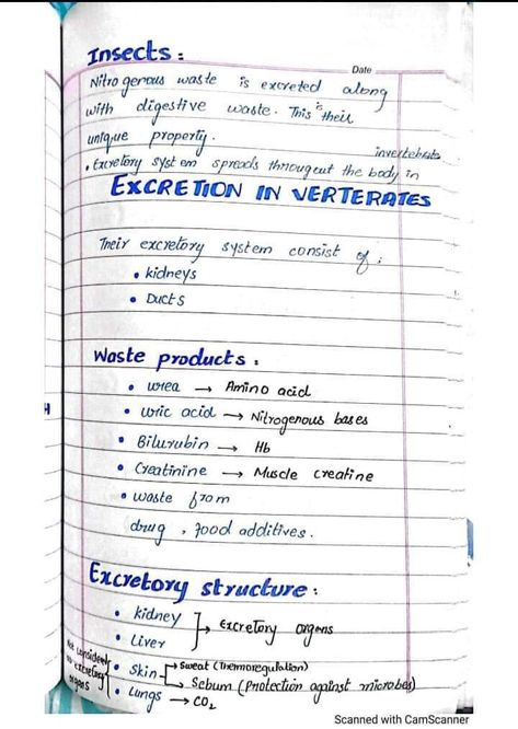 Excretion in vertebrates Excretion Biology Notes, Botany Notes, Nitrogenous Base, Hand Written Notes, Excretory System, Jee Mains, Written Notes, Study Flashcards, Biology Notes