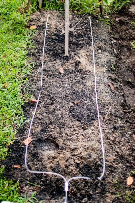 How to: Set Up an Inexpensive DIY Garden Irrigation System Diy Irrigation System, Diy Irrigation, Sprinkler System Diy, Irrigation System Diy, Irrigation Diy, Drip Irrigation Diy, Greenhouse Farming, Front Landscape, Garden Watering System