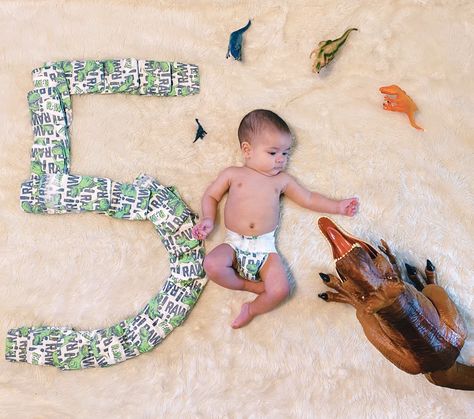 Monthly Photoshoot ft. Honest Co. diapers 5 Months Photoshoot, 5 Months Baby Photoshoot, Baby Photoshoot Ideas Boy, 5 Months Baby Photoshoot Ideas, Months Photoshoot, Monthly Photoshoot, 5 Month Baby, Baby Photoshoot Ideas, Baby Photoshoot Boy