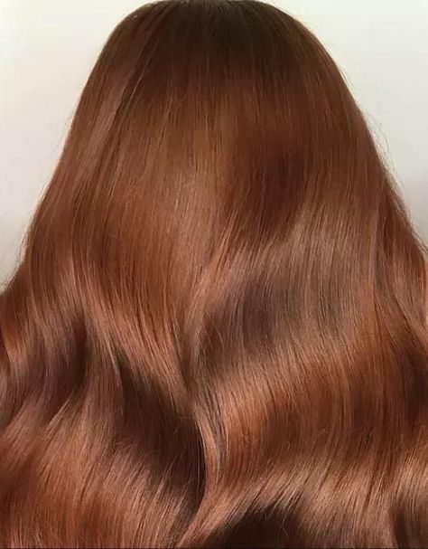 Natural Dark Copper Hair, Bronze Color Hair, Caramel Bronze Hair, Tangerine Brown Hair Color, Bronze Hair Color For Black Women, Cinnamon Ginger Hair, Cinammon Hair Colour, Redish Brownish Hair, Dark Brown Copper Hair Color