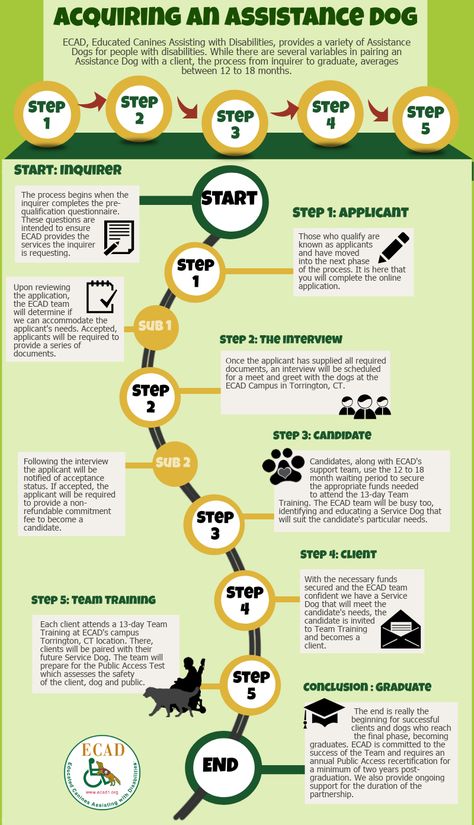 Step By Step Infographic, Step Infographic, Service Dog Training, Assistance Dog, Service Dog, Service Dogs, Puppy Training, Dog Training, Step By Step