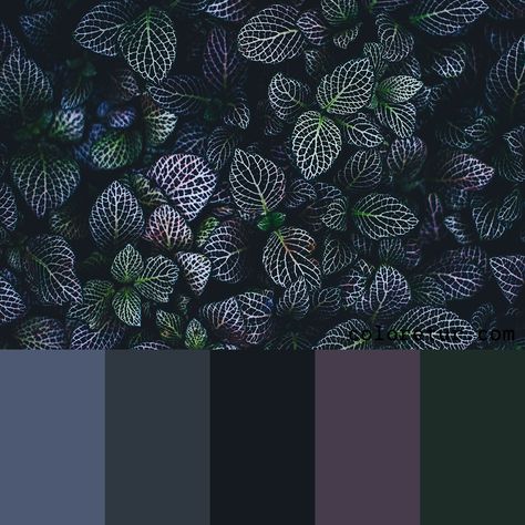 Gothic Purple Color Palette, Gothic Colour Scheme, Dark Gothic Color Palette, Moody Pastel Color Palette, Moody Pallete Color, Velaris Color Palette, Color Palette Gothic, Color Palette With Dark Green, Black Green Color Palette