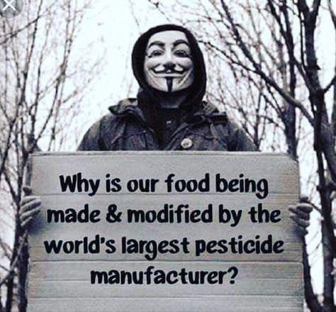 David Wolfe, Question Everything, Interesting Questions, A Sign, Food For Thought, A Mask, Wake Up, Words Of Wisdom, Government